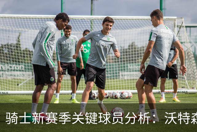 骑士新赛季关键球员分析：沃特森与泰森的角色