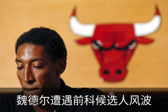 魏德尔遭遇前科候选人风波