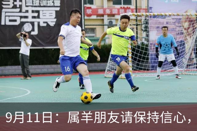 9月11日：属羊朋友请保持信心，逆境中将有转机