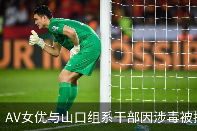 AV女优与山口组系干部因涉毒被捕引发关注