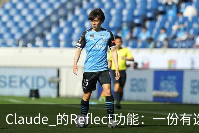 Claude 的Reflect功能：一份有选择的使用画像