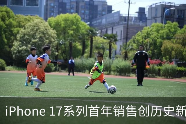 iPhone 17系列首年销售创历史新高，营收超1700亿美元
